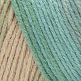 Red Heart Super Saver Yarn (Stripes, Prints, Variegated)