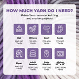 Mary Maxim Prism Yarn