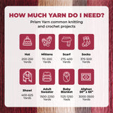 Mary Maxim Prism Yarn