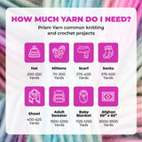 Mary Maxim Prism Yarn