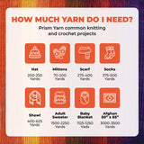 Mary Maxim Prism Yarn