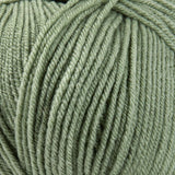 Mary Maxim Maximum Value Yarn