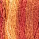 Fil ombré Super Saver Red Heart