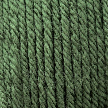 Patons Canadiana Yarn -'The New Generation'