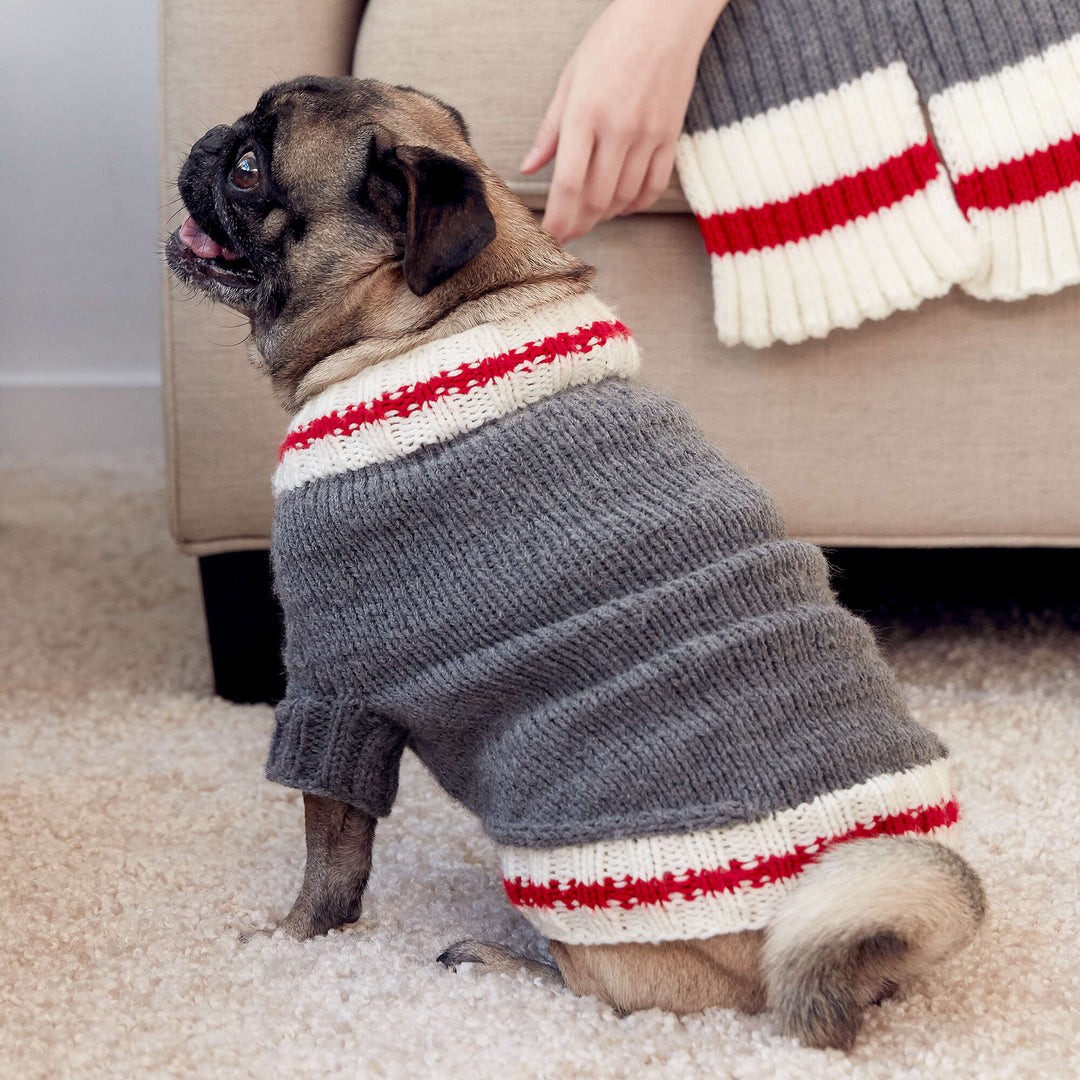 Free Work Sock Dog Coat Knit Pattern