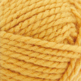 Premier Serenity Chunky Yarn