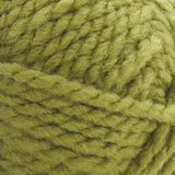 Premier Serenity Chunky Yarn
