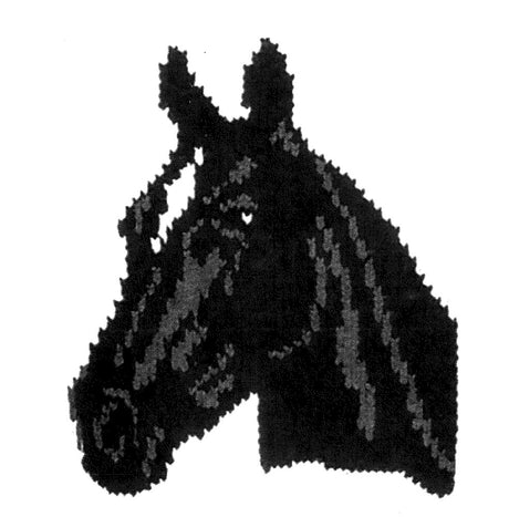 Horse Head Jacket