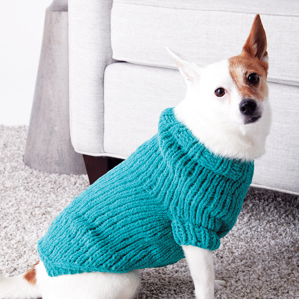 Modèle de chien en tricot gratuit
