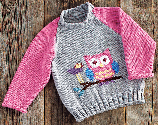 Child's Owl Pullover