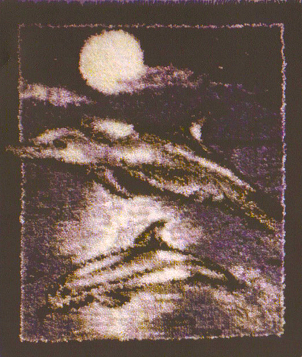 Dolphins at Play Latch Hook Rug Pattern