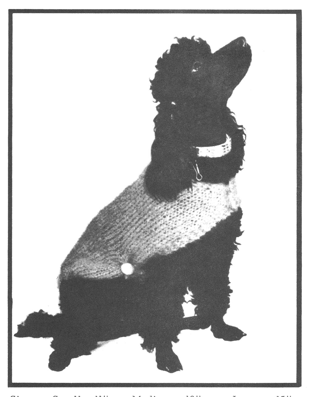 Doggie Windbreaker Pattern