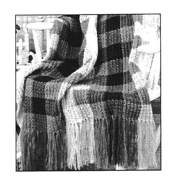 Modèle afghan parfait pour pique-nique