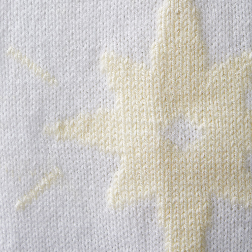 Couverture Starlight