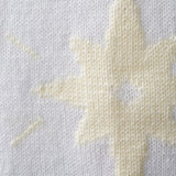 Couverture Starlight